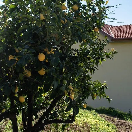 Luneria Apartamento Pisciotta